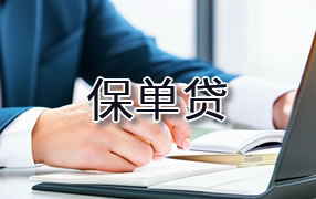 大理保单贷