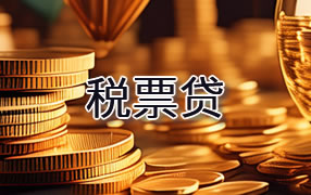 大理税票贷